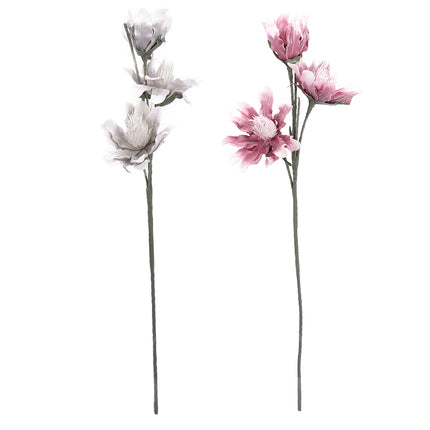 02001820_magnolia-x-1-umela-penova-6