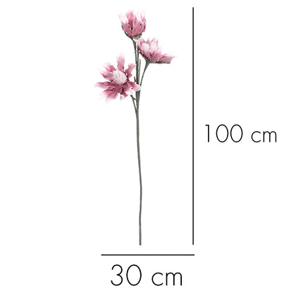 02001820_magnolia-x-1-umela-penova-6