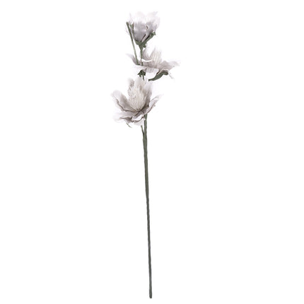 02001820_magnolia-x-1-umela-penova-6