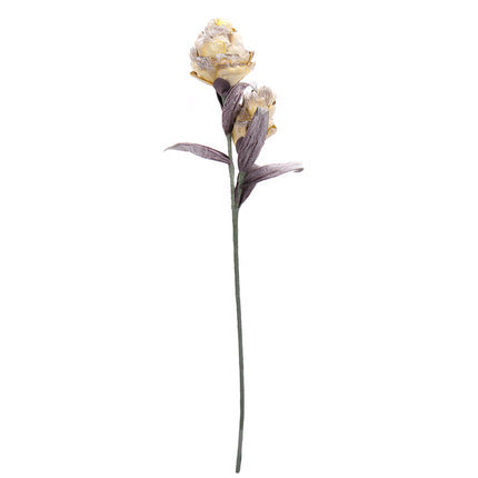 02001821_magnolia-x-1-umela-penova-1