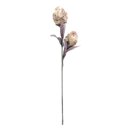 02001821_magnolia-x-1-umela-penova-1