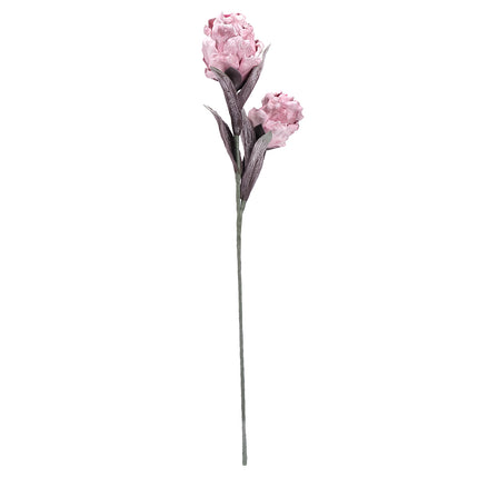 02001821_magnolia-x-1-umela-penova-1
