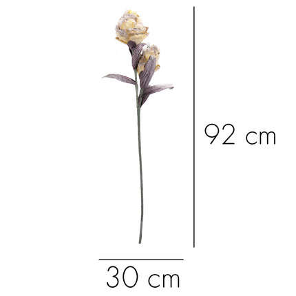02001821_magnolia-x-1-umela-penova-1