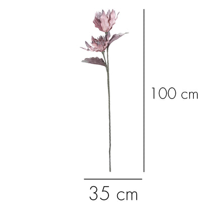 02001822_magnolia-x-1-umela-penova-5