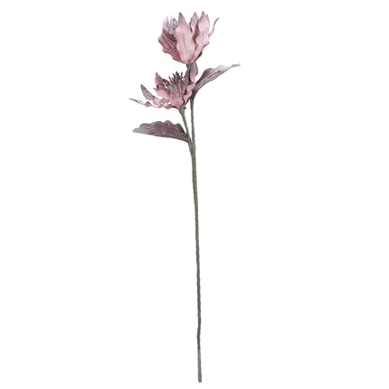 02001822_magnolia-x-1-umela-penova-5