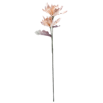 02001822_magnolia-x-1-umela-penova-5