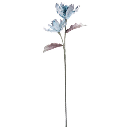 02001822_magnolia-x-1-umela-penova-5