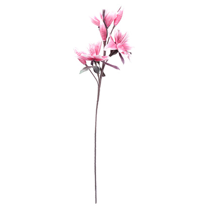02001823_magnolia-x-1-umela-penova-2