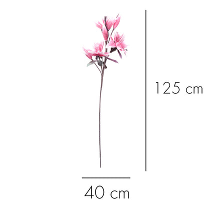 02001823_magnolia-x-1-umela-penova-2