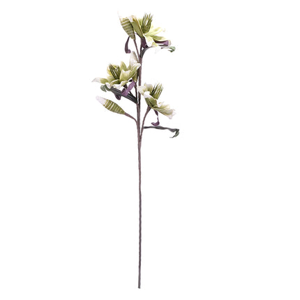 02001823_magnolia-x-1-umela-penova-2