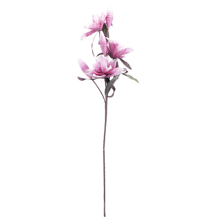 02001823_magnolia-x-1-umela-penova-2