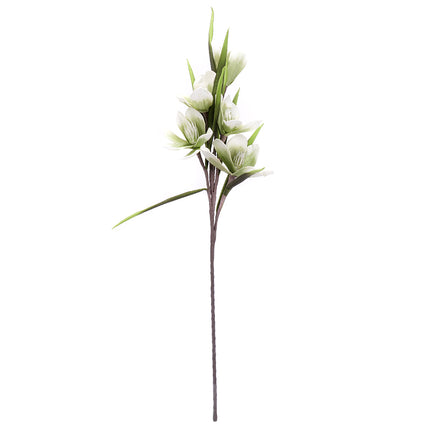 02001824_magnolia-x-1-umela-penova-4