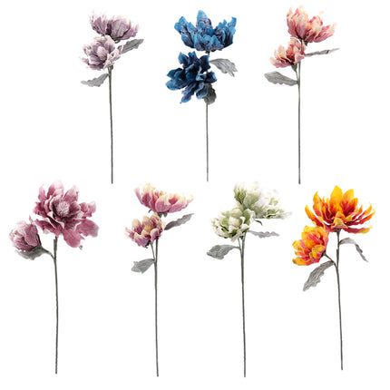 02001826_magnolia-x-1-umela-penova