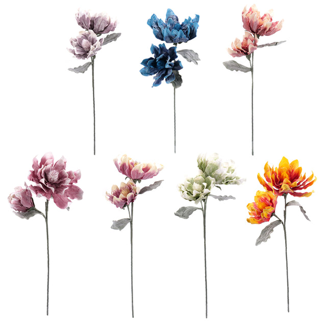 02001826_magnolia-x-1-umela-penova