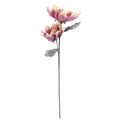 02001826_magnolia-x-1-umela-penova
