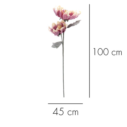 02001826_magnolia-x-1-umela-penova