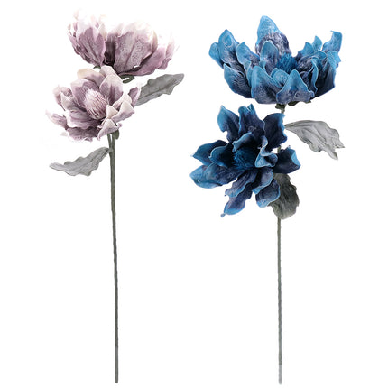 02001826_magnolia-x-1-umela-penova