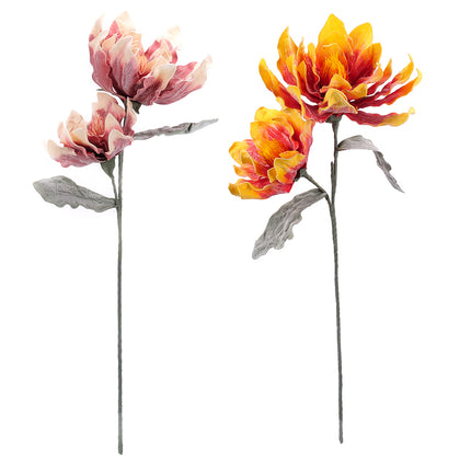 02001826_magnolia-x-1-umela-penova