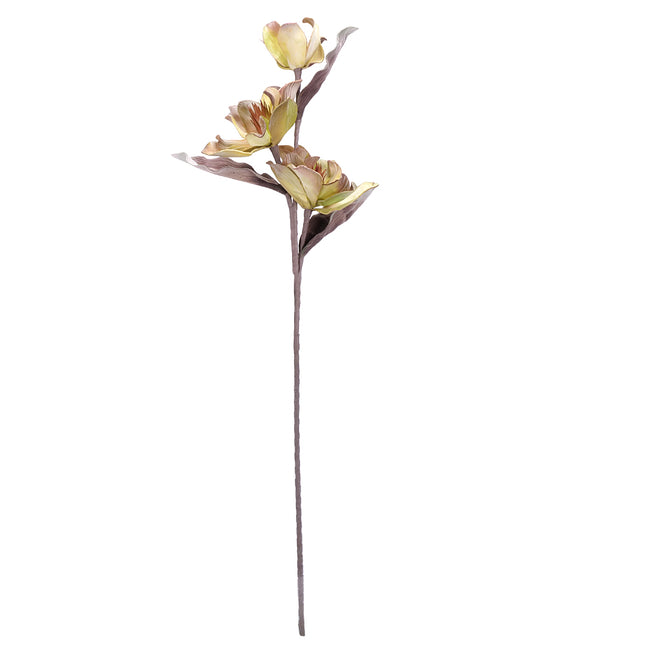 02001835_magnolia-x1-biela-umela-penova-1