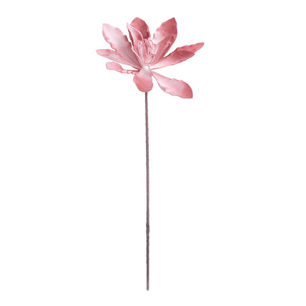 02001836_magnolia-x1-mix-umela-penova