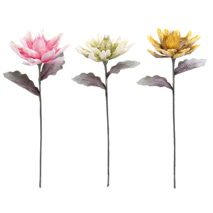 02001837_magnolia-x1-biela-hneda-umela-penova