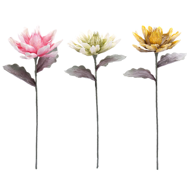 02001837_magnolia-x1-biela-hneda-umela-penova