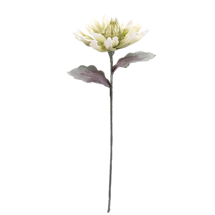 02001837_magnolia-x1-biela-hneda-umela-penova