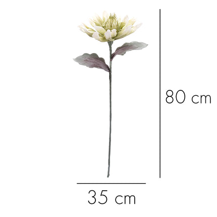 02001837_magnolia-x1-biela-hneda-umela-penova