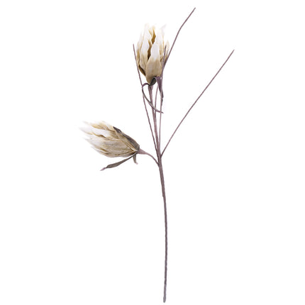 02001838_magnolia-x1-biela-hneda-umela-penova-1