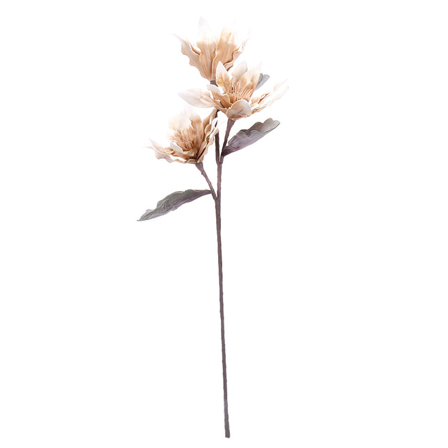02001845_magnolia-x1-hneda-umela-penova