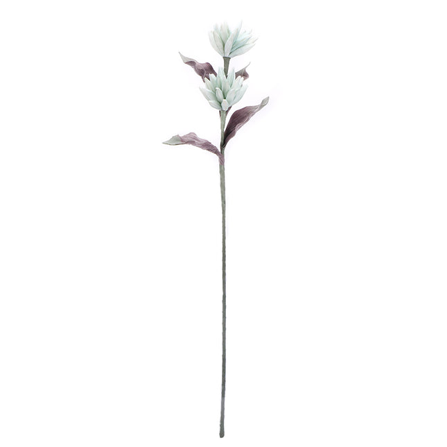 02001867_magnolia-x1-umela-penova