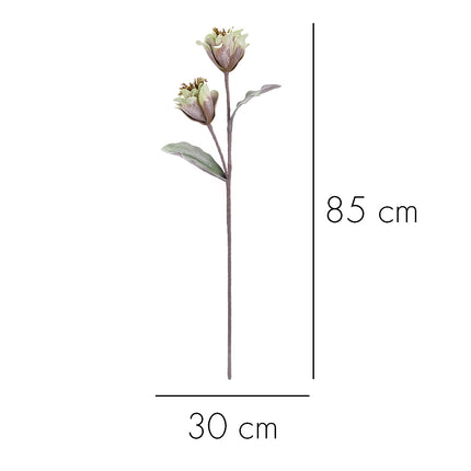 02001868_magnolia-x1-umela-penova-2