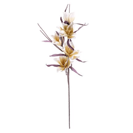 02001870_magnolia-x1-umela-penova-1