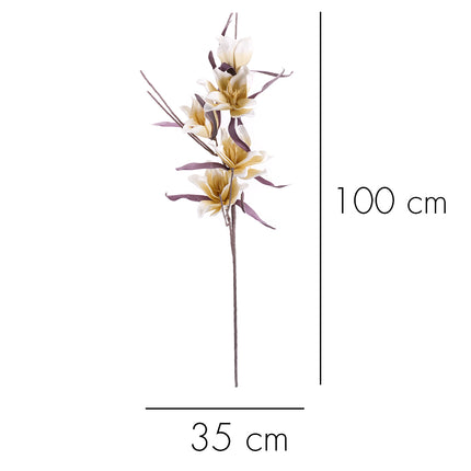 02001870_magnolia-x1-umela-penova-1