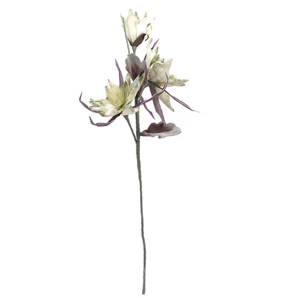 02001874_magnolia-x1-zelena-umela-penova-2