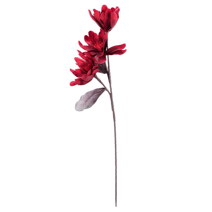 02001881_magnolia-x1-zlto-hneda-umela-penova