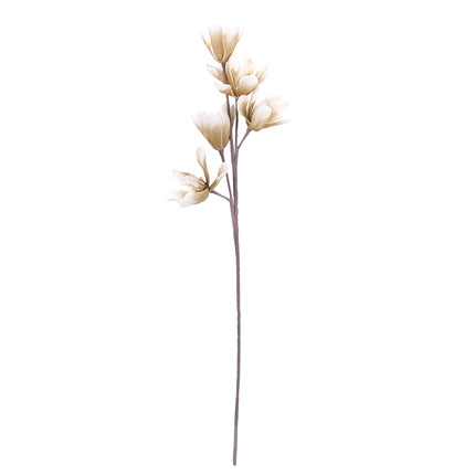 02001883_magnoliax1-biela-hneda-umela-penova