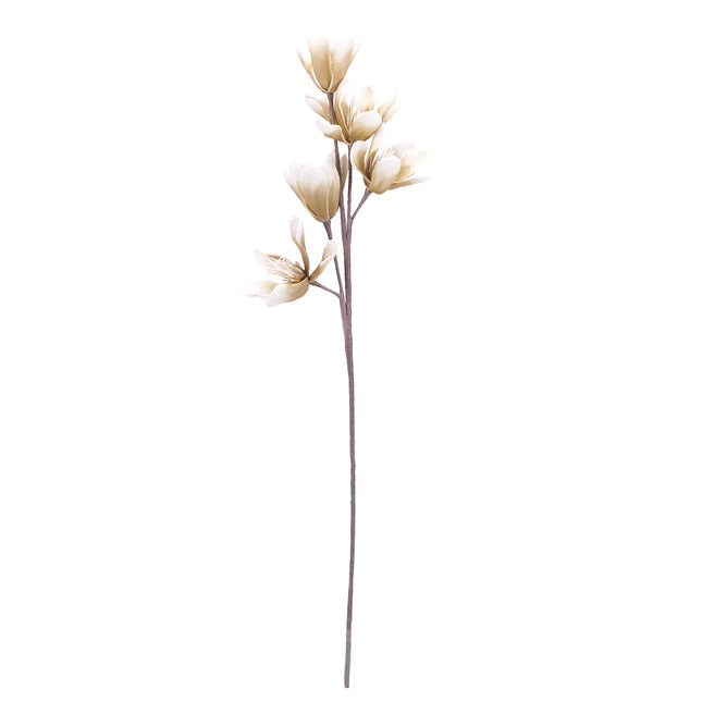 02001883_magnoliax1-biela-hneda-umela-penova