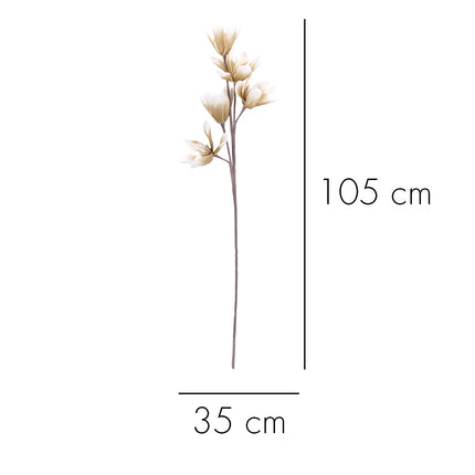 02001883_magnoliax1-biela-hneda-umela-penova