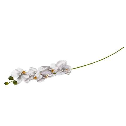 02001957_orchidea-latk-stopkova-90cm