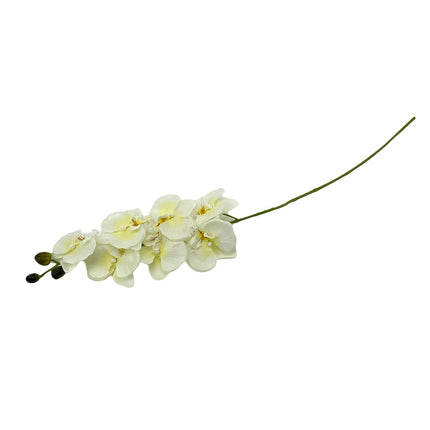 02001957_orchidea-latk-stopkova-90cm