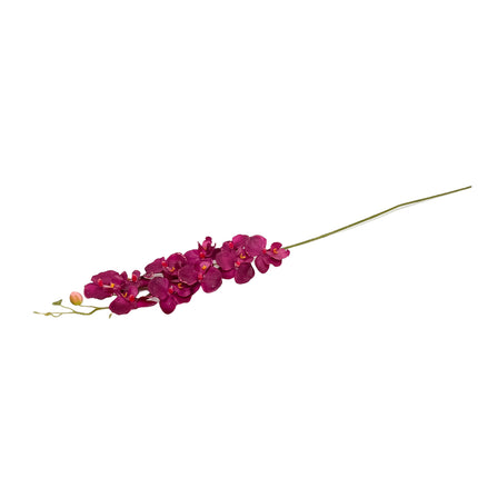 02001965_orchidea-plast