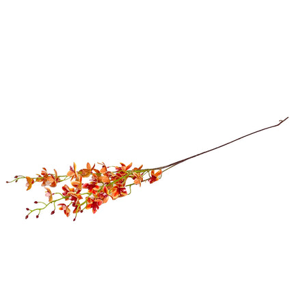 02001983_orchidea-um-stopkova-x3