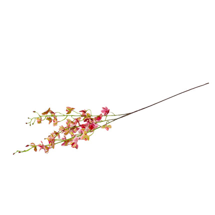 02001983_orchidea-um-stopkova-x3