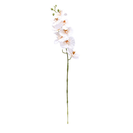 02001989_orchidea-x1-90cm-e22-umela