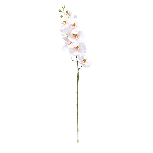 02001989_orchidea-x1-90cm-e22-umela