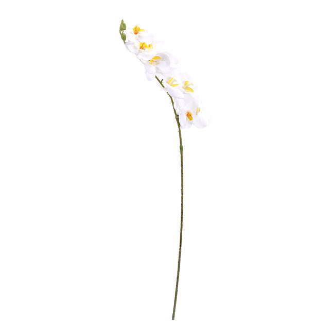 02002035_phalenopsis-x1-mix-g36-umely