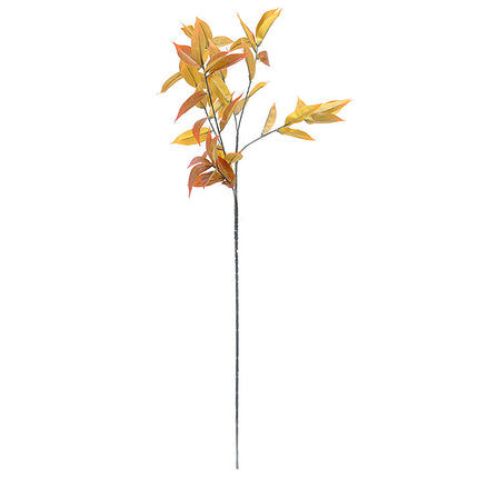 02002043_photinia-x1-90cm-e10-umela