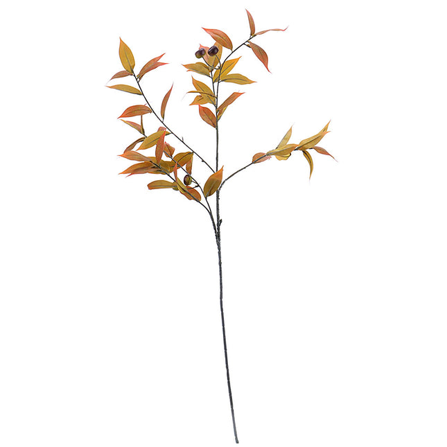 02002044_photinia-x1-plody-90cm-e11-umela