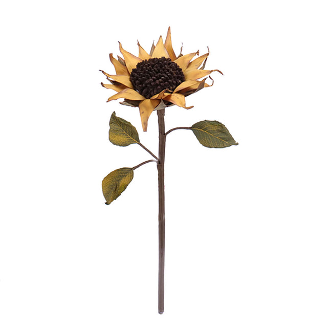 02002131_protea-x1-vintage-88cm-f187-umela